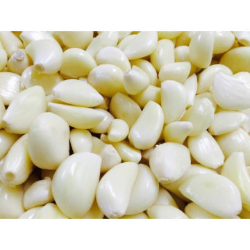 Export New Crop White geschälte Knoblauch